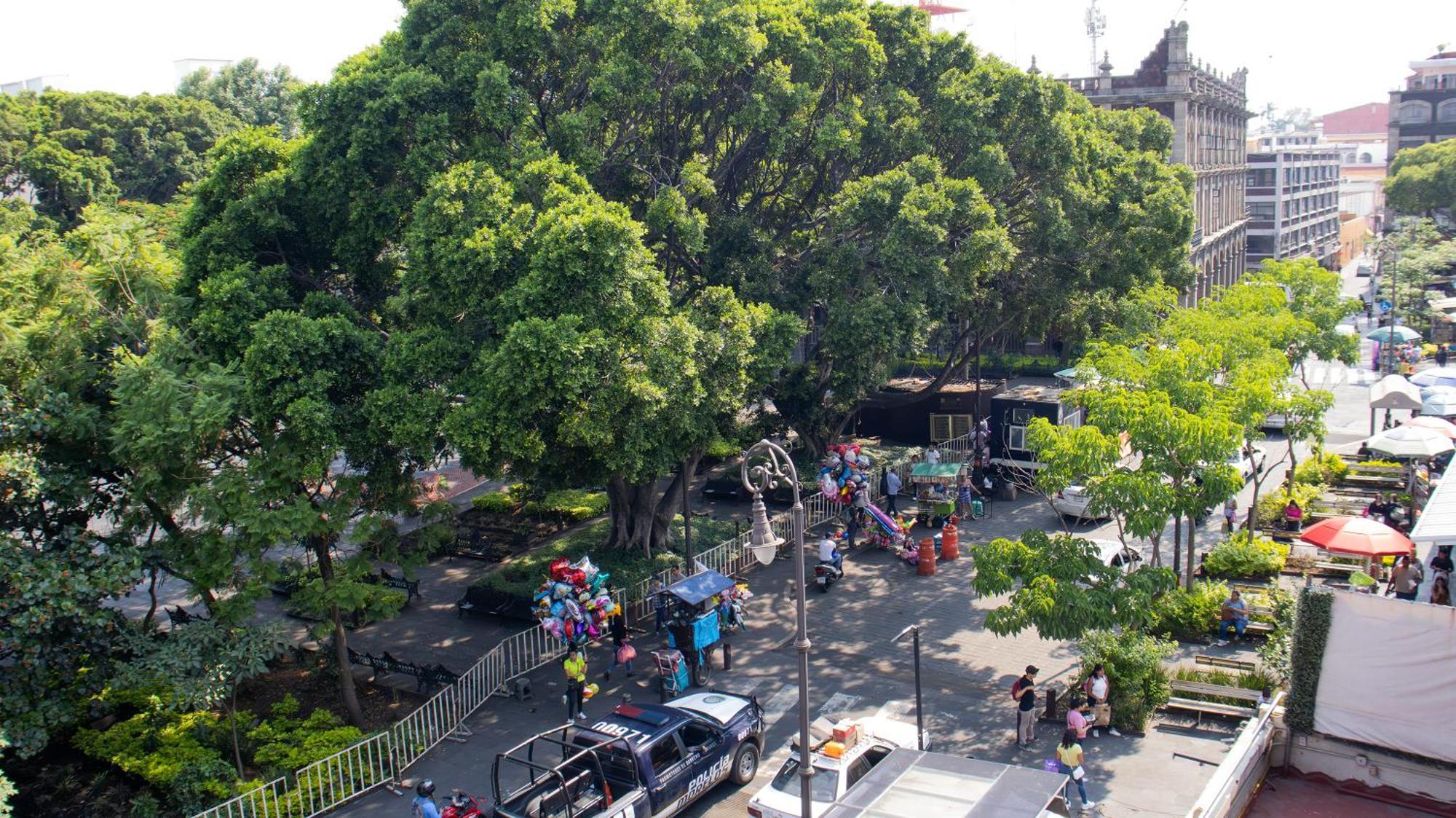 Suites Las Plazas Cuernavaca Extérieur photo
